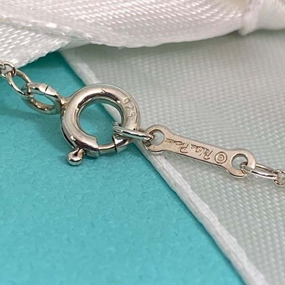 NEW Tiffany & Co. Loving Heart Swirl Medallion Necklace Paloma Picasso  925 - Picture 6 of 7